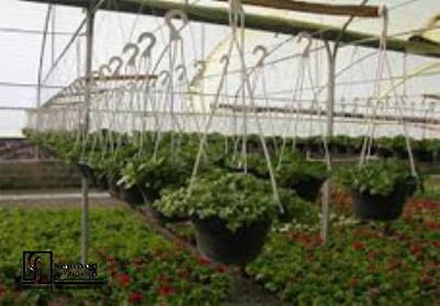 Feasibility study of Greenhouse complexes to produce farm production